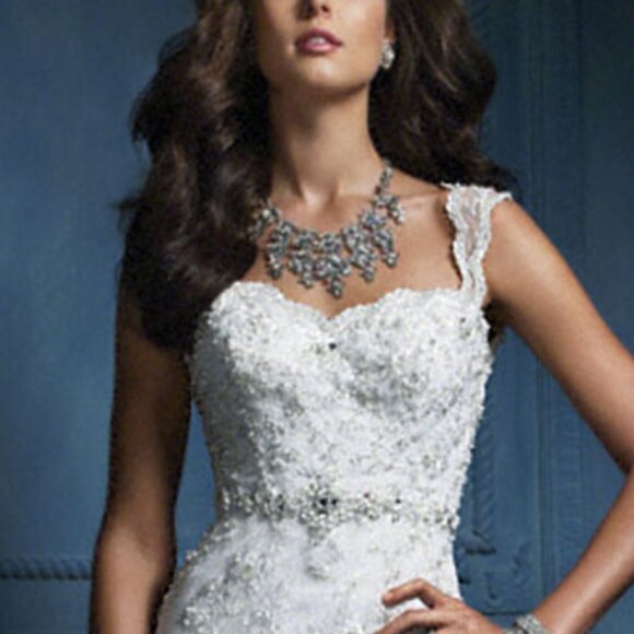 SAMPLE Fit & Flare Sexy BLING Lace Wedding Dress Romantic Mermaid Keyhole Back - Picture 3 of 9